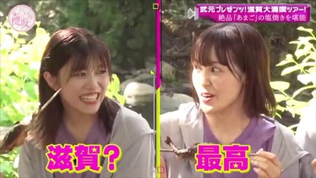 【櫻坂４６】そこ曲がったら、櫻坂？ 2023.09.10『武元プレゼンツ！滋賀大満喫ツアー！後半』