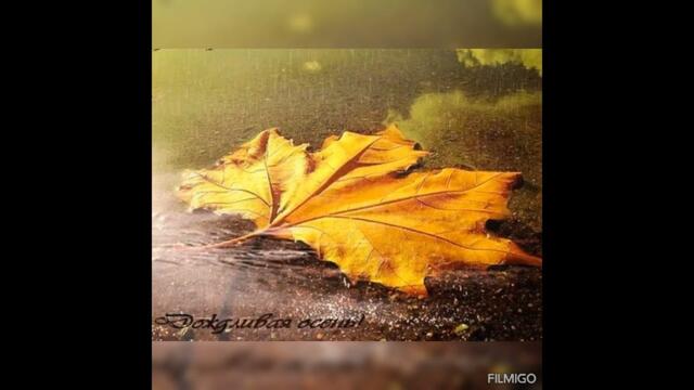 М. Боярский  -  "Листья жгут"  Доброй осени❤️