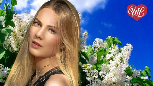 Максим Аршавин  -  БЕЛАЯ СИРЕНЬ