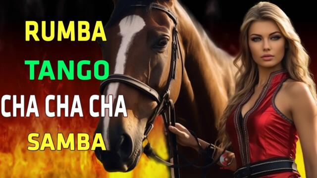 RUMBA / CHA CHA / TANGO / MAMBO / NonStop Latin Instrumental Music - Beautiful Spanish Guitar 2023