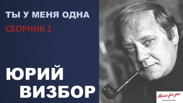 Юрий Визбор  -  Ты у меня одна