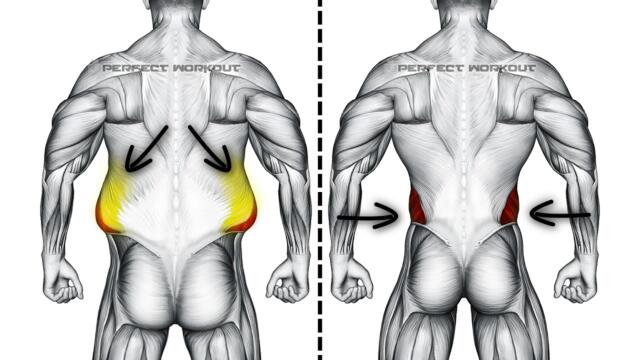 Say Goodbye to Love handles with This Exercise | Get Rid of Side Fat!!