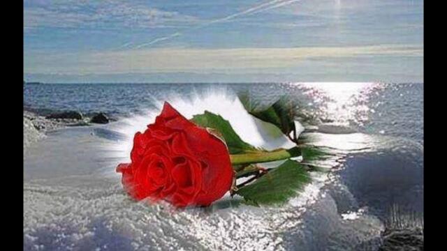 СКУЧАЮ    Ольга Когдова,муз   интернет