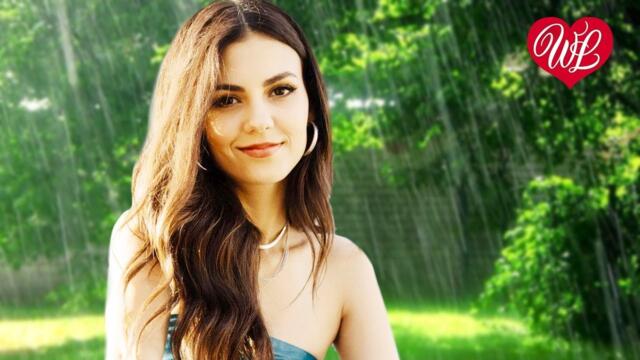 Шура  -  ОТШУМЕЛИ ЛЕТНИЕ ДОЖДИ