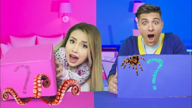 Синя СРЕЩУ Розова Мистериозна Кутия