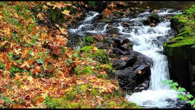 Владимир Тимофеев   лучшие песни