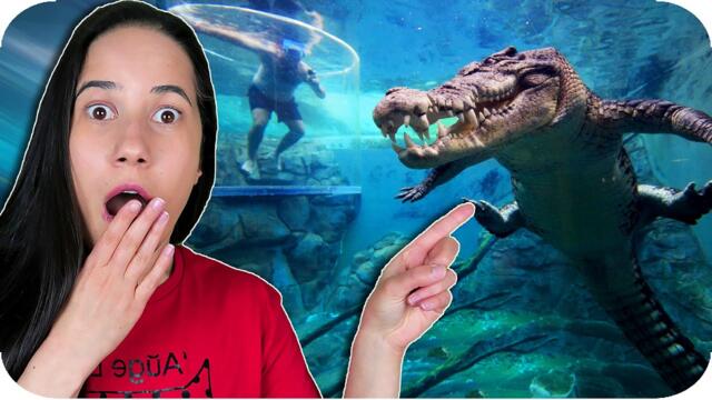 ТОП 10 НАЙ-ОПАСНИ ТУРИСТИЧЕСКИ ДЕСТИНАЦИИ