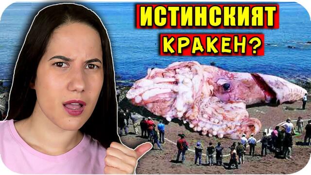 ТОП 10 НЕВЕРОЯТНИ МОРСКИ ЖИВОТНИ, за които НЕ ЗНАЕТЕ