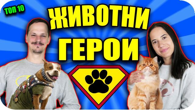ТОП 10 ЖИВОТНИ ГЕРОИ