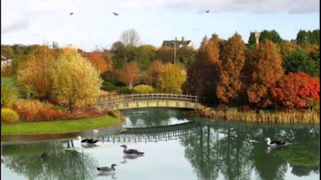 Н.КАРАЧЕНЦЕВ  -  ОСЕНЬ ЗОЛОТАЯ...