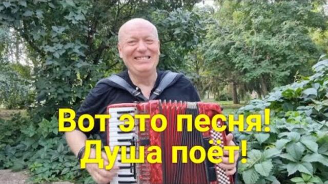 Николай Засидкевич - Синеокая