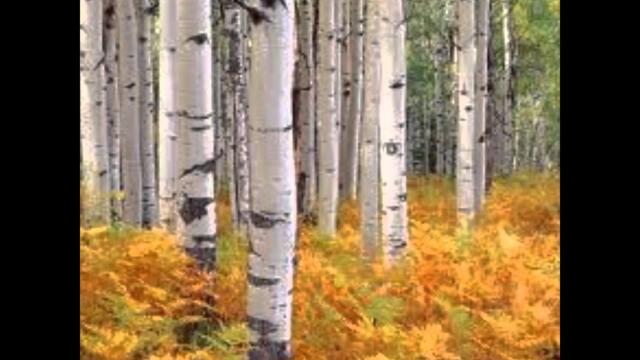 Алексей Кочнев  -  Бабье лето