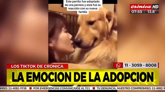 Viral: la tierna reacción de un perro tras ser adoptado