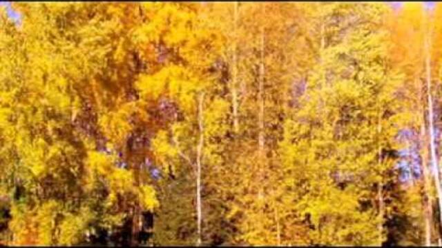 Татьяна Снежина - Листопад