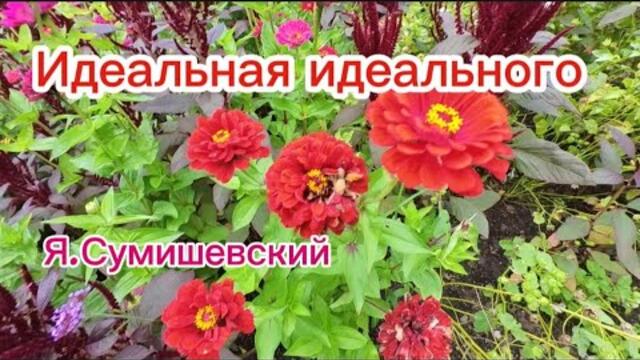 Ярослав Сумишевский   -   Идеальная идеального.