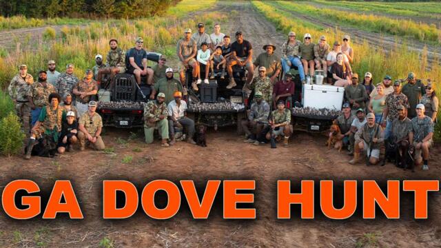 DOVE HUNTING with 24.7Hunt!