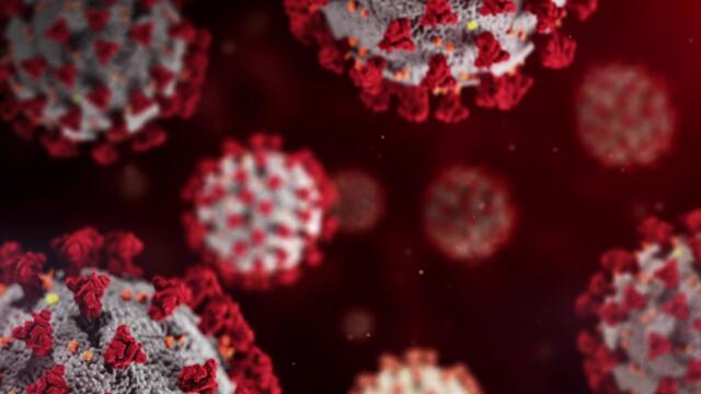 Covid-19 : le nombre de nouveaux cas en nette augmentation