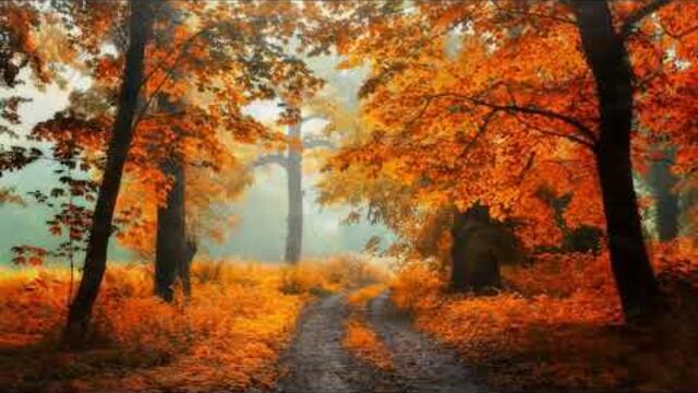 Леонид Телешев  -  Разноцветная осень