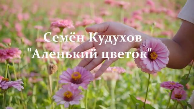 Семён Кудухов   -  "Аленький цветок".
