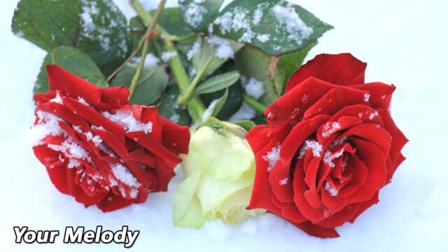 Послушайте эту музыку вам станет легче🌿лечит душу и полезно для сердца🌿Сергей Грищук