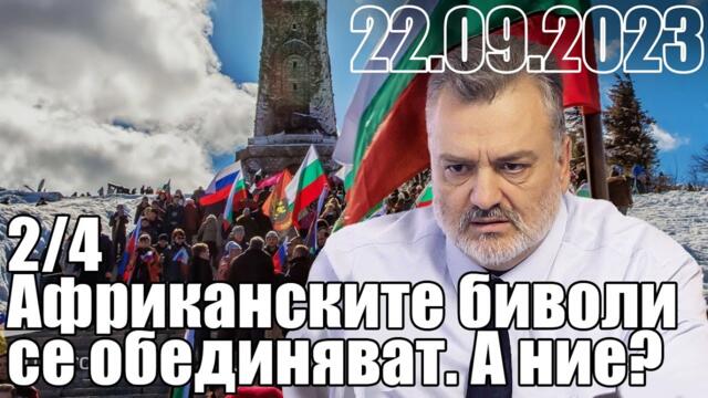 2/4. Африканските биволи се обединяват. А ние?