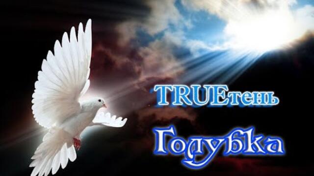 TRUEтень - ГОЛУБКА
