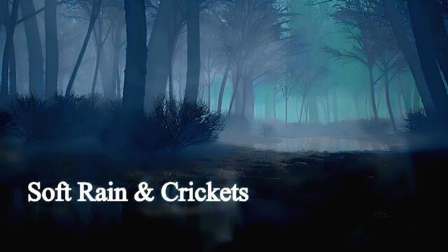 Immerse Yourself In The Swamp At Night With The Sound Of #Crickets. #relax #sleepaid