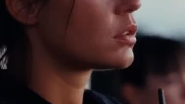 A l'affiche : Le Règne animal