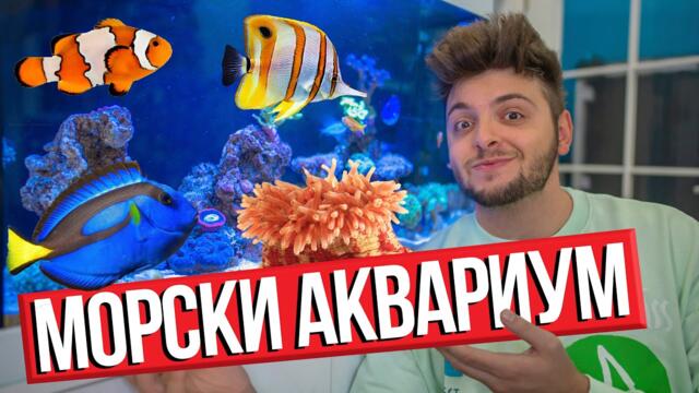 ОКЕАН ВКЪЩИ - МОЯТ МОРСКИ АКВАРИУМ
