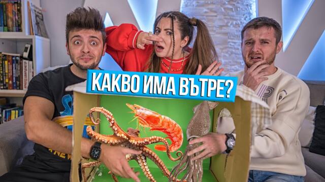 КАКВО ИМА В КУТИЯТА