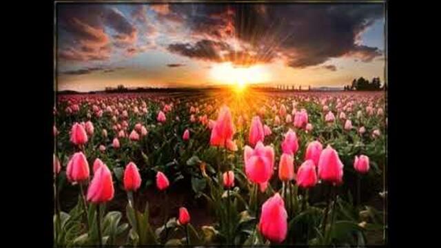 Андрей Зализко   песни