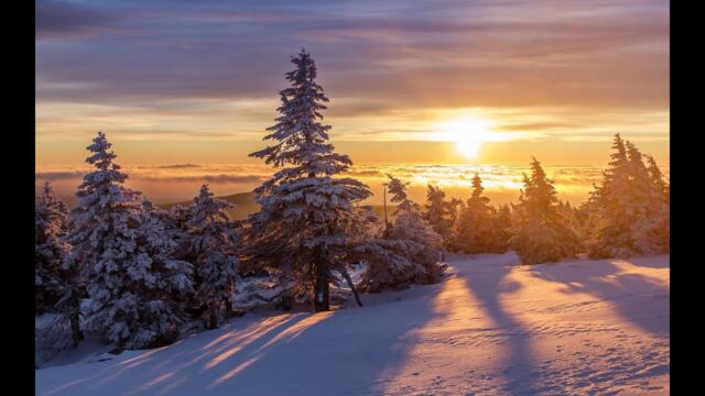 Ольга Роса  -   Метель