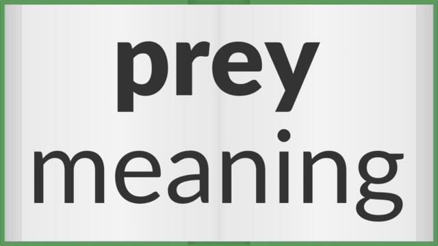 Prey | meaning of Prey