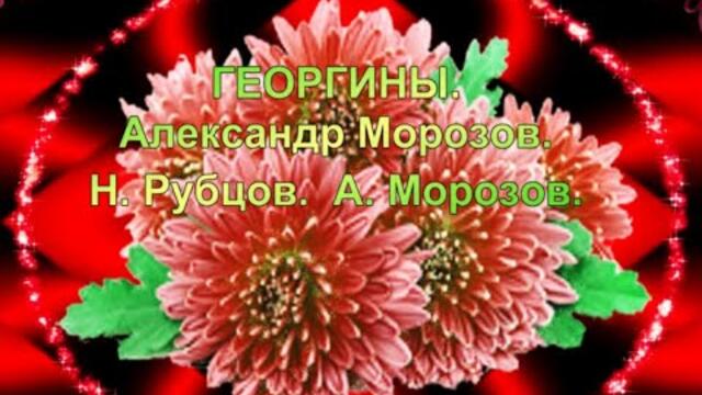 Александр Морозов     -    ГЕОРГИНЫ.