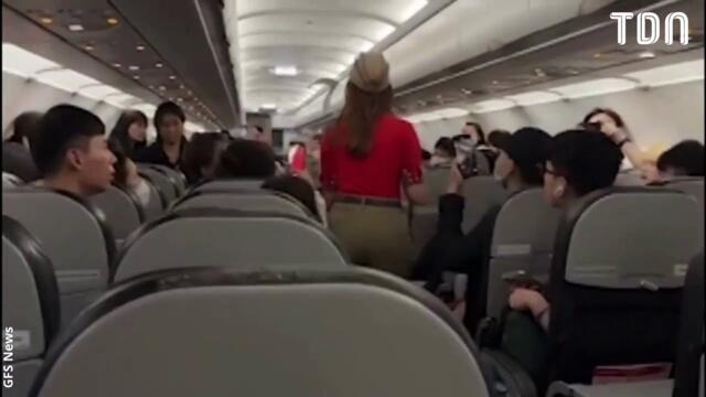 Panique dans l'avion : Une loutre et un rat s'échappent d'un bagage, les passagers affolés