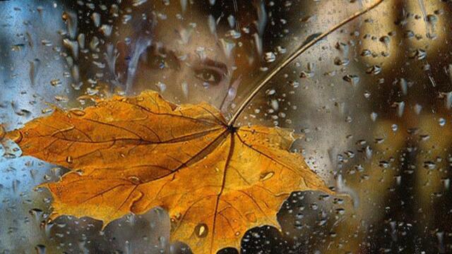 Александра Херсонская    -    Осень, она не спросит.