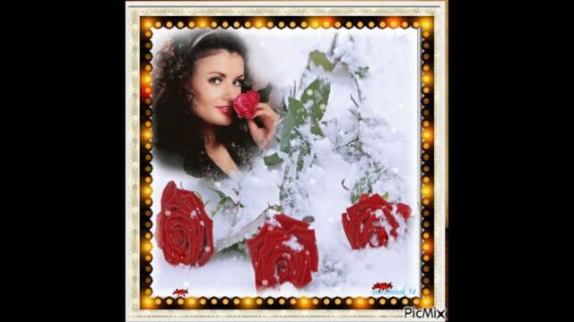 Вероника Гармаш   -   Роза алая