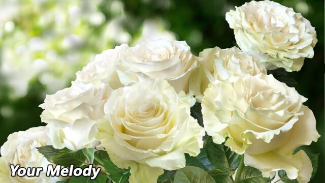 Нежная мелодия любви прекрасна🌿 Самая лучшая музыка в мире🌿 Сергей Грищук