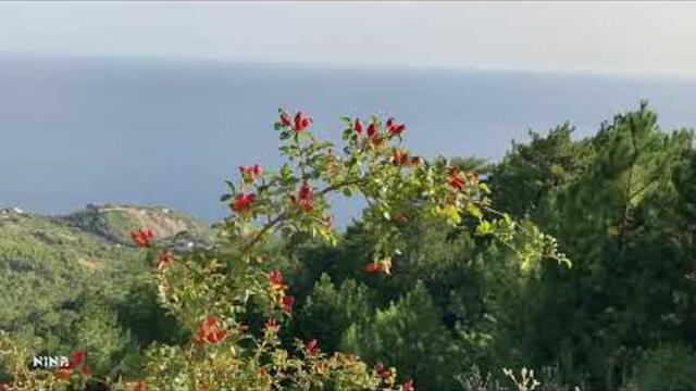 Очарование Природы Крыма под Несравненно Красивую Мелодию Эдгара Туниянца!