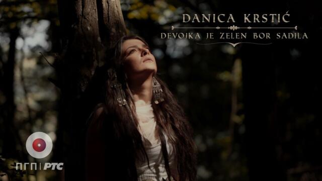 Danica Krstić - Devojka je zelen bor sadila | [Official Music Video]