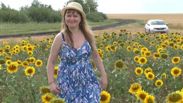 Валерий Палаускас   -    Полевые цветы