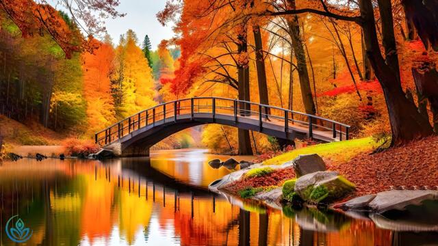 Музыка осенью лечит сердце🍁 Нежная музыка восстанавливает нервную систему и удовлетворяет душу