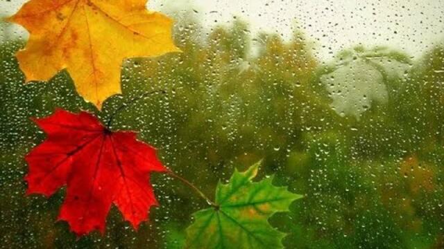 Осенняя погода.  Сергей Чекалин.