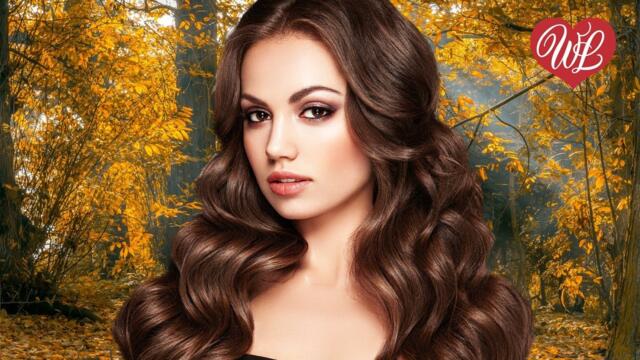 Сергей Сухачев     -     ВСЕ СНАЧАЛА