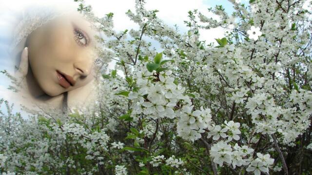 Л.Шепилова и С.Дубровин   -   А над речкой туман