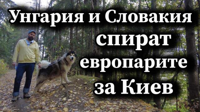 Унгария и Словакия спират европарите за Киев