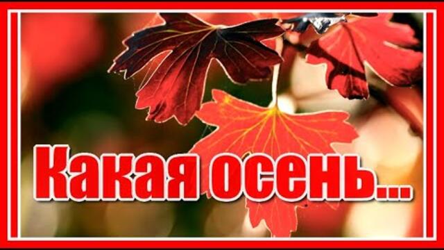 Какая осень за окном, какая осень, какой чудесный золотой твой листопад...