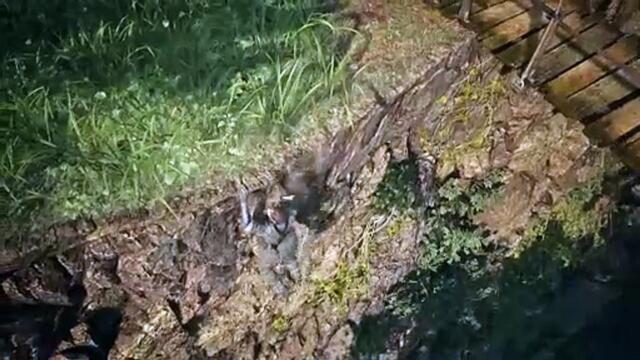 Metal Gear Solid 3 Remake Engine Trailer