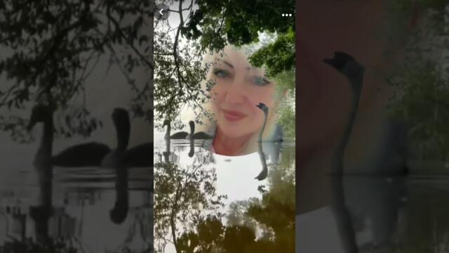 Владимир Ломов   -   Ты моя судьба.