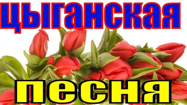 Ай да ну дана цыганская песня о любви цыганские песни